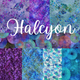 Halcyon by Jason Yenter for In The Beginning